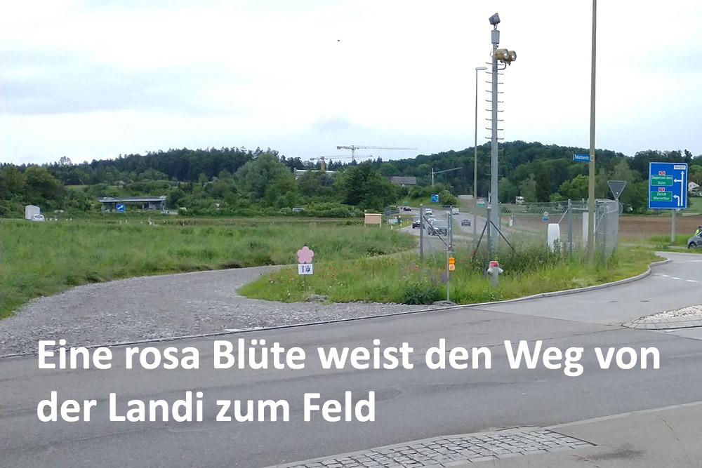 AnfahrtAuto3